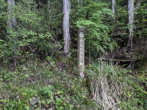 PXL_20240426_212553322