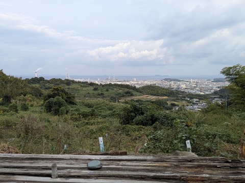 PXL_20251101_230821685