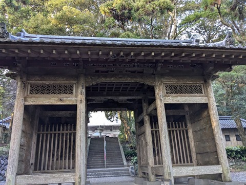 PXL_20241122_065737521