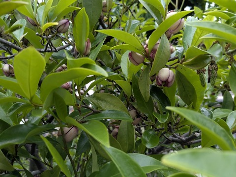 PXL_20250505_080053915