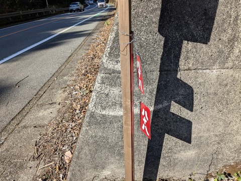 PXL_20241120_010841804