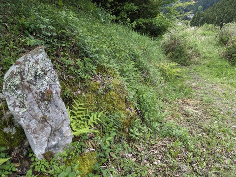 PXL_20240427_045740554