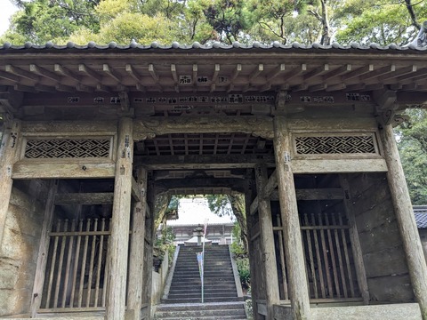 PXL_20240328_225203260