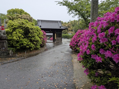 PXL_20250428_040053730