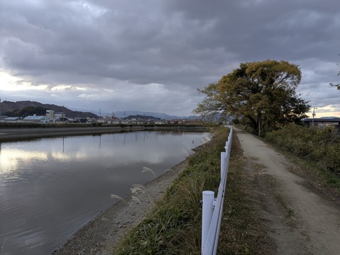 PXL_20251203_220402844