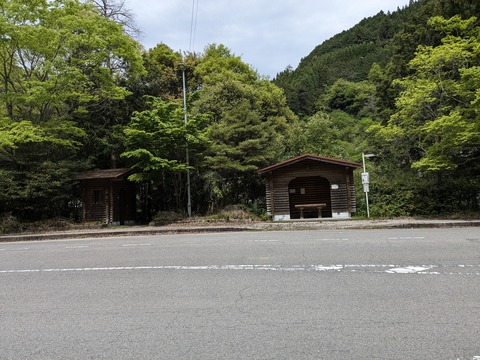 PXL_20240426_014556882