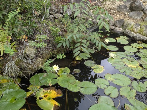 PXL_20240925_015743584