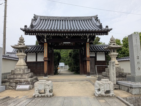 PXL_20250430_233154312