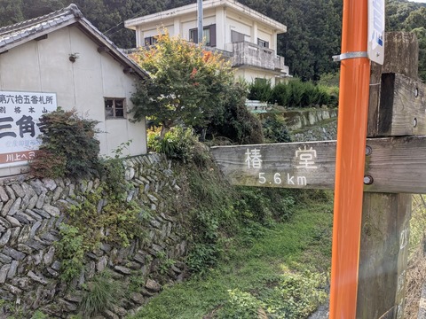 PXL_20251102_013246666