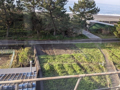 PXL_20240330_220559737