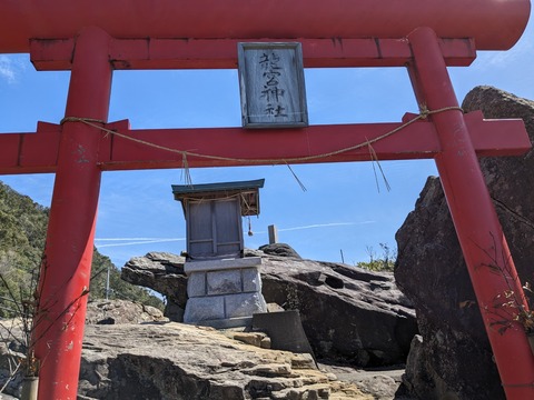 PXL_20240329_043403446