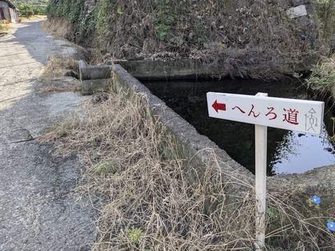 PXL_20241023_235242761