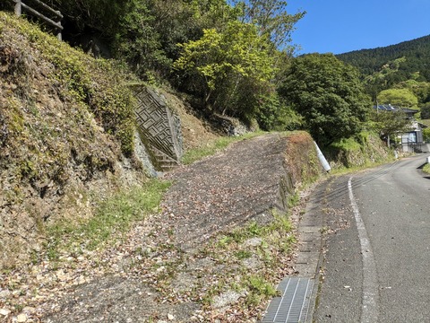 PXL_20240425_001207866