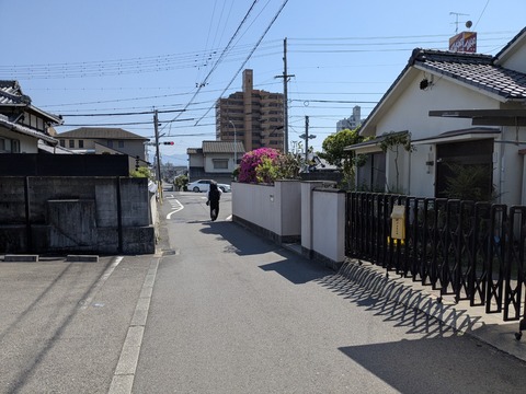 PXL_20250426_053635589