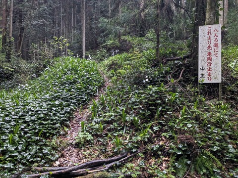 PXL_20240426_211334497.MP