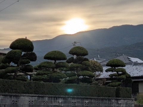 PXL_20251101_222118508