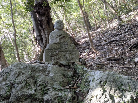 PXL_20251126_051437301