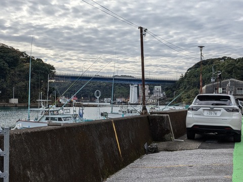 PXL_20241121_011201449