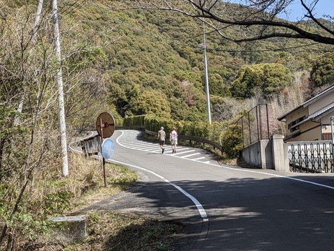 PXL_20240330_013435192