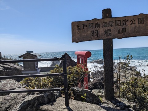 PXL_20240329_043309669