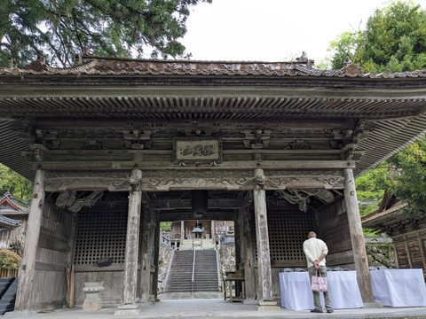 PXL_20240424_045702746