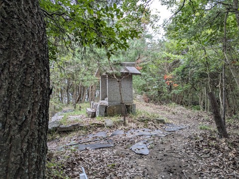 PXL_20250928_033300870