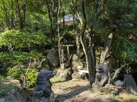 PXL_20250428_234631270