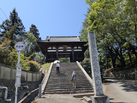 PXL_20250427_034046275