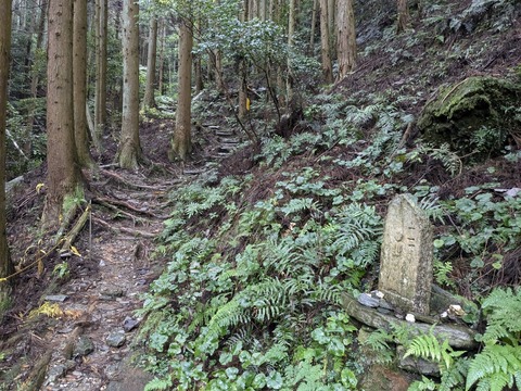 PXL_20241026_002656484