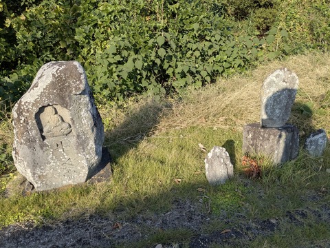 PXL_20251114_054025149