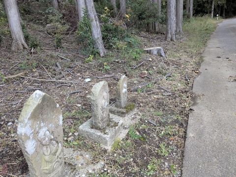 PXL_20251102_233248666