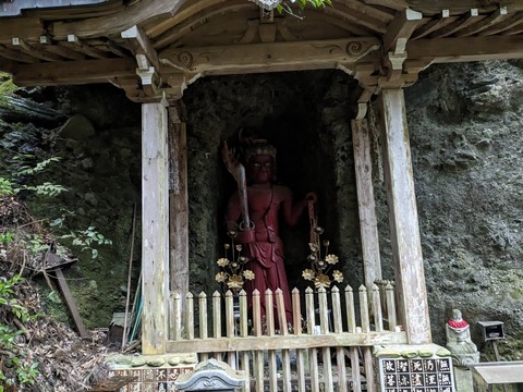 PXL_20240427_004533549