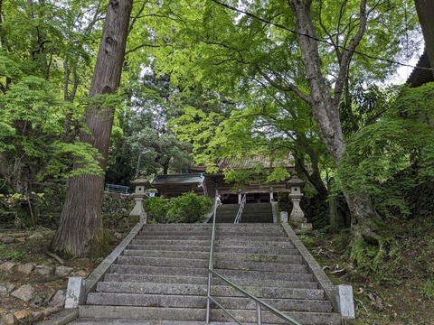 PXL_20240424_045548461