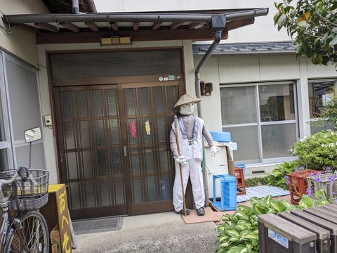 PXL_20240426_062905957