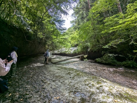 PXL_20240723_024222760