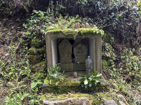 PXL_20240427_043118260