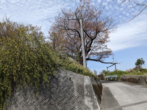 PXL_20240331_022118738