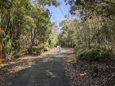 PXL_20240330_015437594