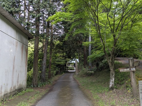 PXL_20250430_062817403