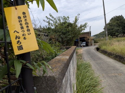 PXL_20251112_234037005