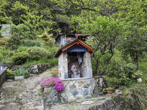 PXL_20240426_044904061