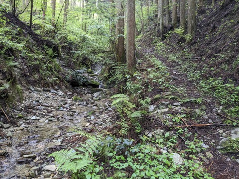 PXL_20240427_030912085