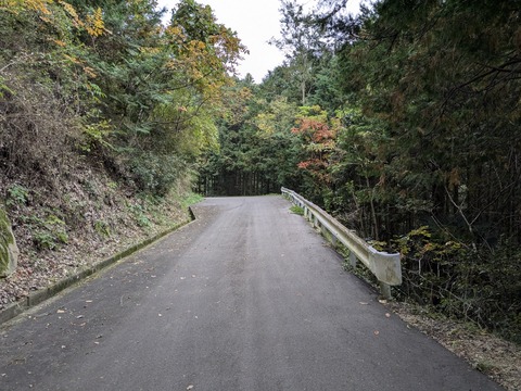 PXL_20251113_041744413