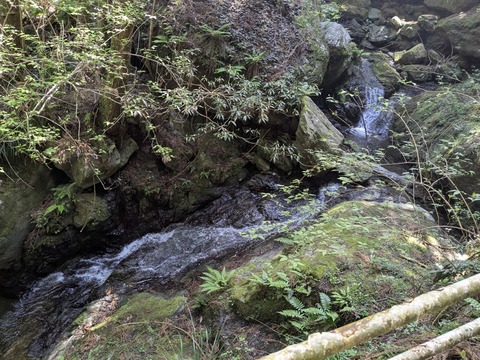 PXL_20250430_001851143