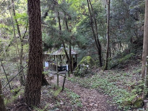 PXL_20250425_224848078