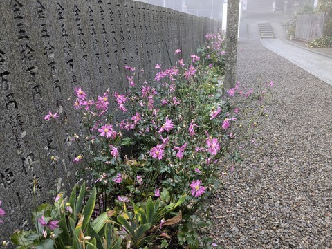 PXL_20241026_014235628