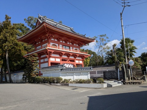 PXL_20251115_024058192