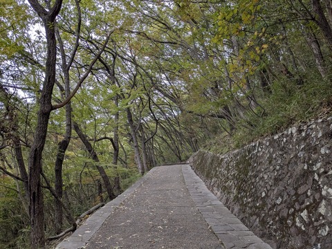 PXL_20251111_235751204