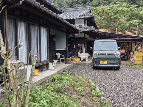 PXL_20241025_224004604