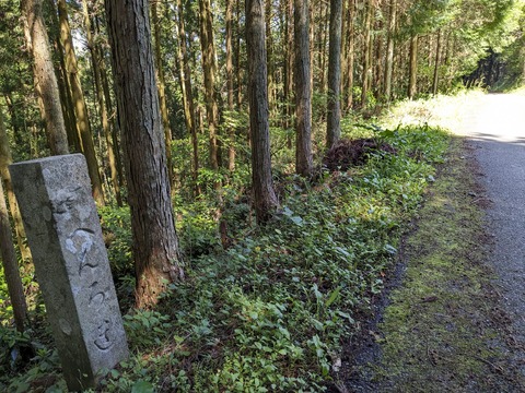 PXL_20240425_011651669.MP